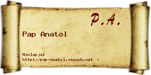 Pap Anatol névjegykártya